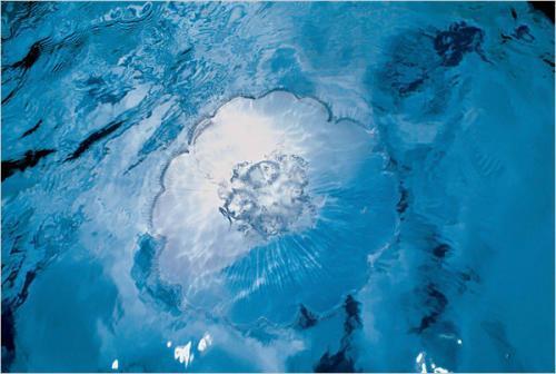 ����ѧ�ҹ��������������Ƭ����ѧ�ҹ��������������Ƭ