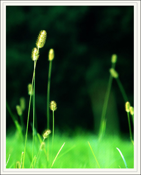 Photoshop轻松几步构建纹理背景效果Photoshop教程:简单构建纹理化效果