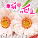 ��Ϧ���˽�ף��QQ����