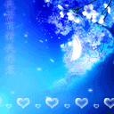 2009�����ף��QQ����