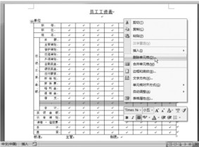 ��Word����α༭���� ��Word����α༭����