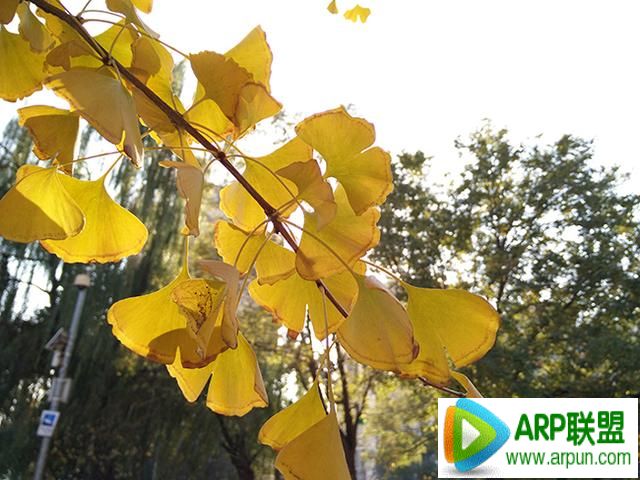 OPPO N3评测OPPO N3评测:旋转镜头和价格的进化论