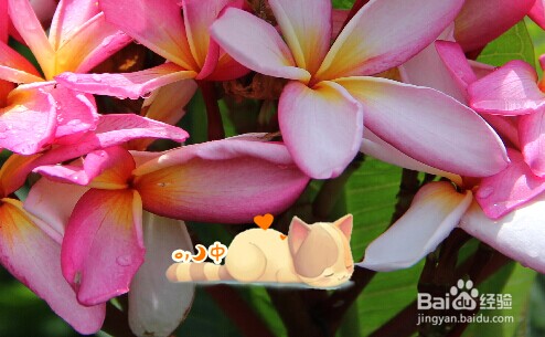 ����ڵ��������ѹ����뷨�����Ƨ�֣�����ڵ��������ѹ����뷨�����Ƨ�֣� arpun.com