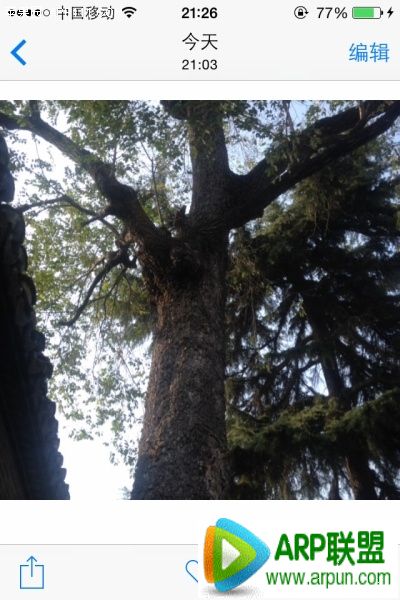 iPhone如何将照片处理成正方形显示