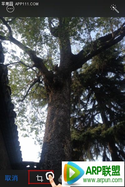 iPhone如何将照片处理成正方形显示