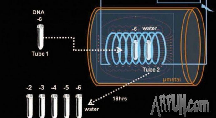 �����δ��䡿ŵ��������ѧ��ʹDNA��һ��λ�����δ��䵽��һ��λ��