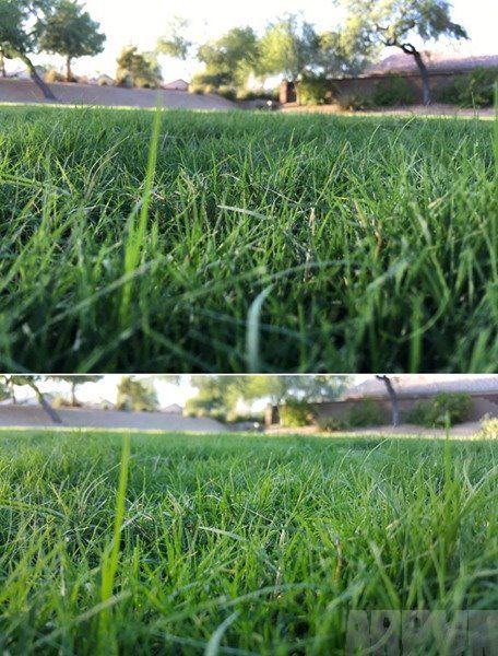 iPhone6s plus拍照对比三星Note5