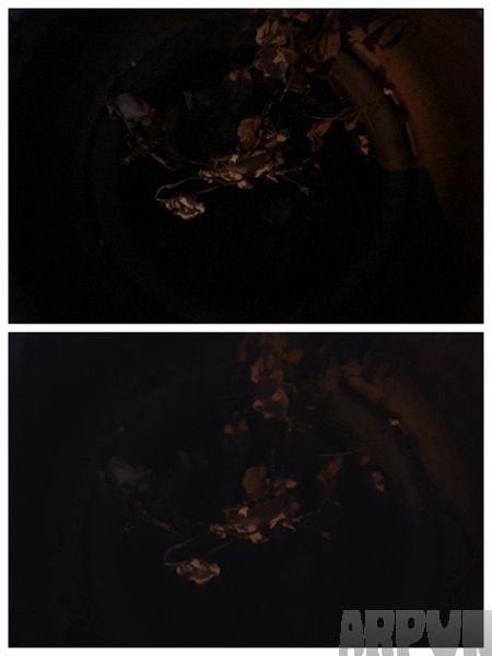 iPhone6s plus拍照对比三星Note5