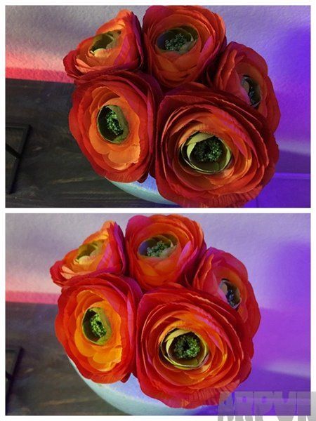 iPhone6s plus拍照对比三星Note5