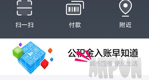 支付宝如何看驾照是否扣分