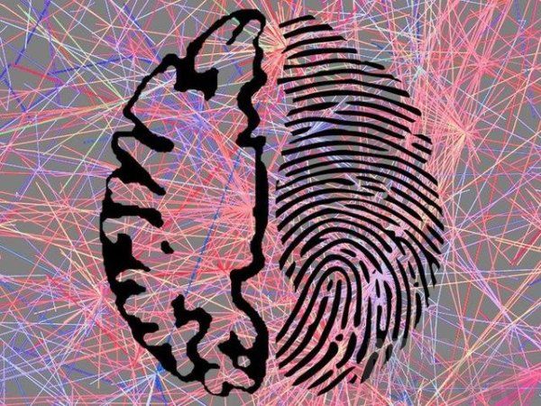 科学家发现大脑活动似指纹 具有唯一性