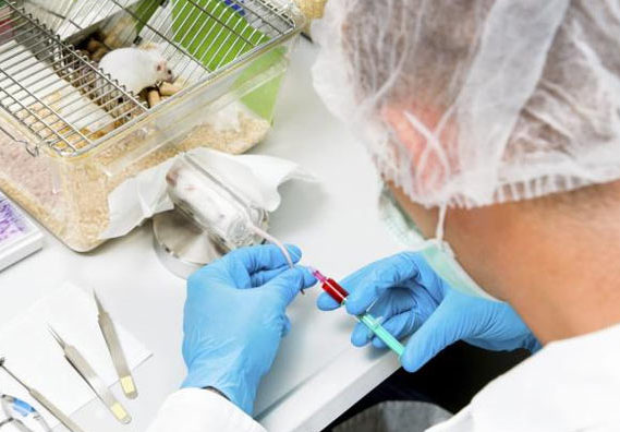 ���Ա���ҩ�����������ձ���ѧ��ȡ���ش���