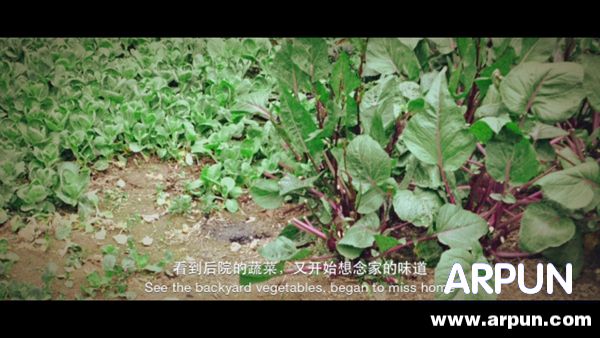 �����ô�� ���App��Ӱ��Ƭ�����̳�