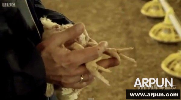 ����ɱ�����ϵ¡�����һ����35�졡ҵ�ߣ�����ȴ����