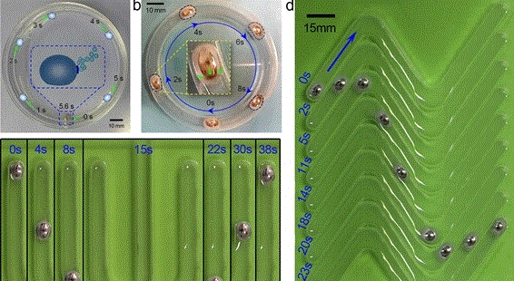 中国研制出世界首台自主运动可变形液态金属机器
