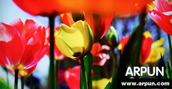 55英寸小米电视2详细评测小米电视2 55英寸屏摄