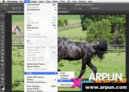 运行PS卡死怎么办,十个技巧让你的ps健步如飞运行PS卡死了 10个技巧让你的PS运行如飞
