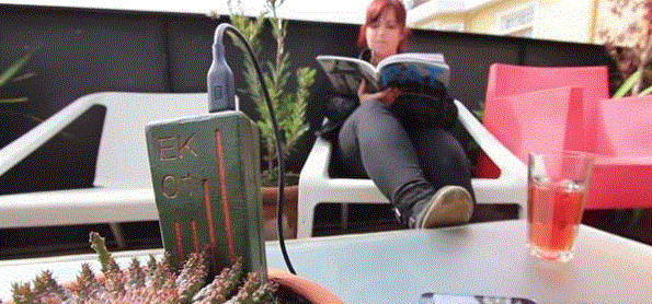 ���Ի������糧��E-Kaia ��������������ֻ����