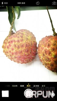 iPhone6�����������ô����