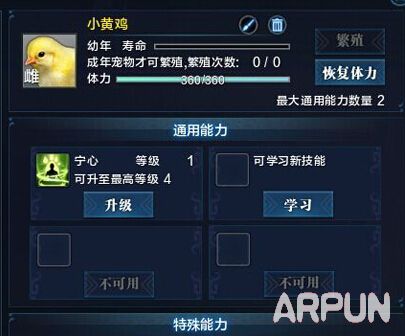 天涯明月刀小黄鸡怎么领 金色宠物小黄鸡兑换地点坐标