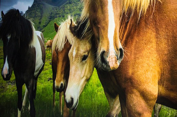 iphone6s有什么新功能