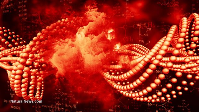 我们97%的DNA都有着更高级的目的而不是“垃圾”