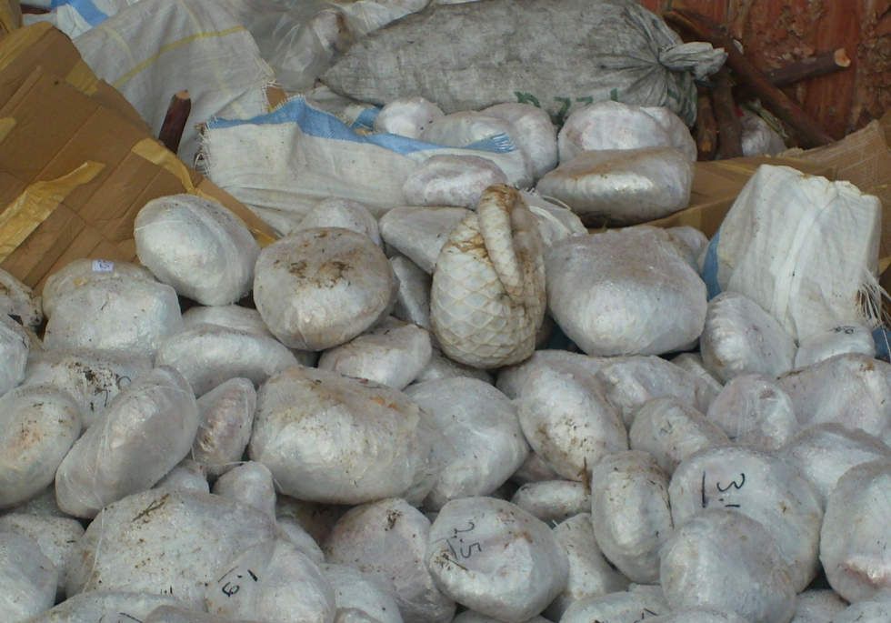 ����Ϣ! 183�������Ѿ���׼��ֹ��ɽ����˽ó��