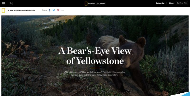 2017年UI设计的10个最重要的趋势分享