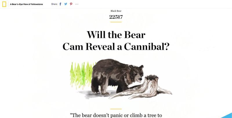 2017年UI设计的10个最重要的趋势分享