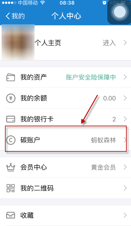 ֧��������ɭ���������