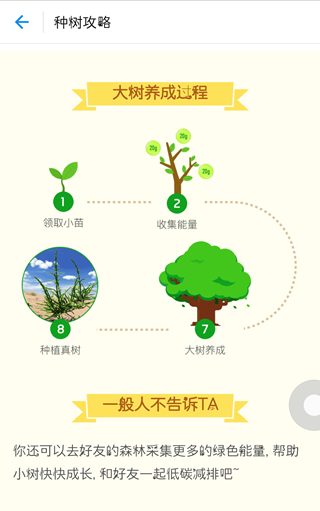 ֧��������ɭ���������