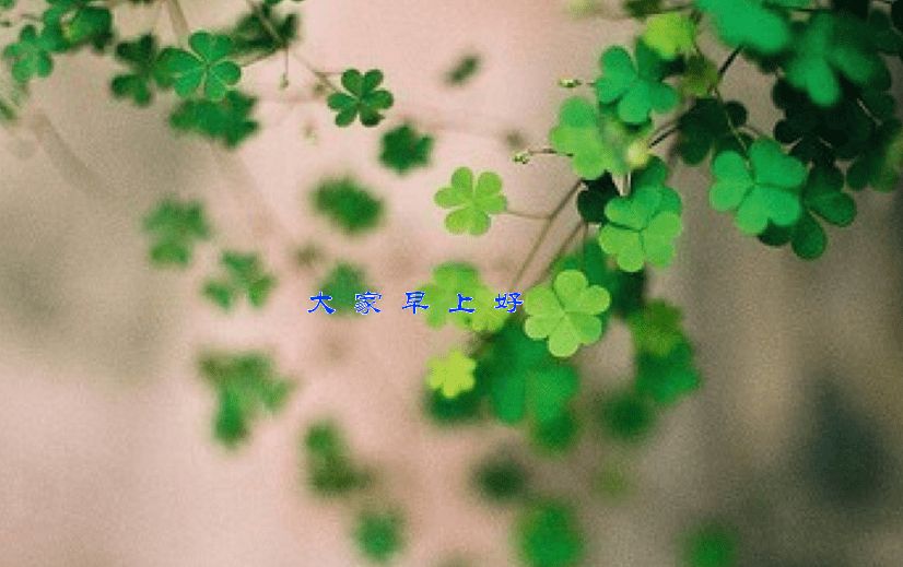 早上好问候语加图片早上好问候语加图片_早上好唯美带字图片