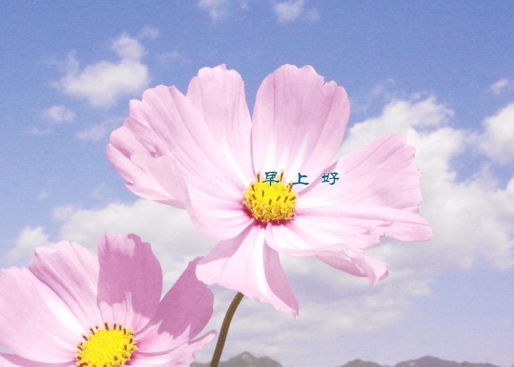 早上好问候语加图片早上好问候语加图片_早上好唯美带字图片