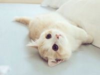 宿舍六人专用头像原版PS_宿舍六人头像自制原版下载