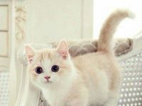 宿舍六人专用头像原版PS_宿舍六人头像自制原版下载