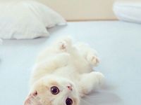 宿舍六人专用头像原版PS_宿舍六人头像自制原版下载