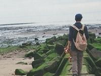 2017ŷ����������QQͷ��