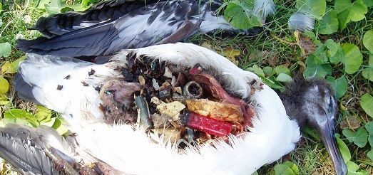 �������50���ھ��Ѿ������������2/3��Ұ������!