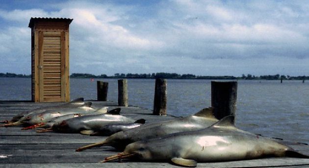 �������50���ھ��Ѿ������������2/3��Ұ������!