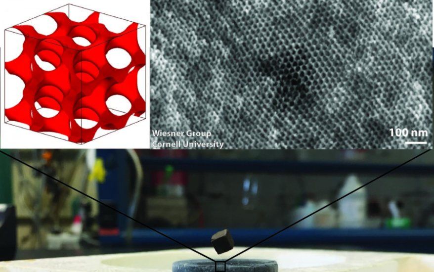 ��ѧ��֤ʵ��ϵ����������ģ����ŵ�����������ܵ���ս