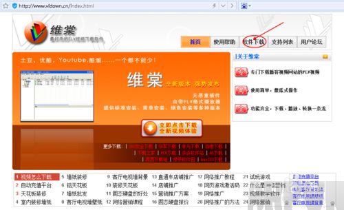 全功能的维棠FLV视频下载软件怎么使用全功能的维棠FLV视频下载软件怎么使用