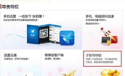 Ѹ�׻�Ա��ʯ���ʺ�ʹ�úͼ����Ѹ����ʯ��Ա���˺�,Ѹ�׻�Ա��ʯ���ʺż����