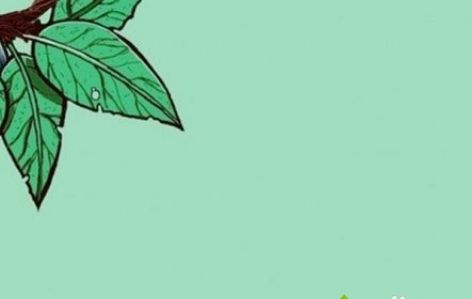 win7��¼QQ���½�û����ʾqqͼ������ֽ������qqͼ�������