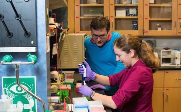 DNA存储技术创造新纪录 ,1立方毫米存储125000 GB数据