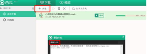 ����Ӱ����ô����url������Ӱ��