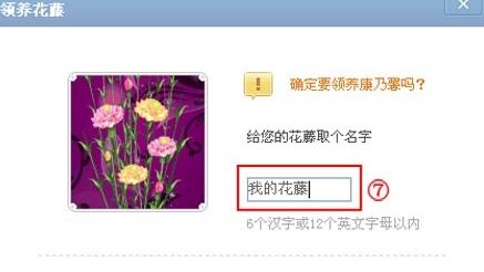 qq空间花藤怎么弄出来空间花藤怎么弄出来