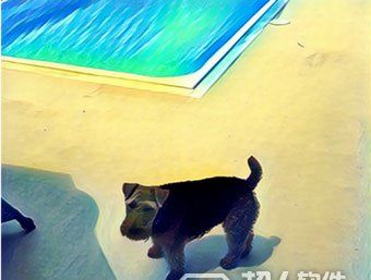 Prisma是什么软件?Prisma怎么用