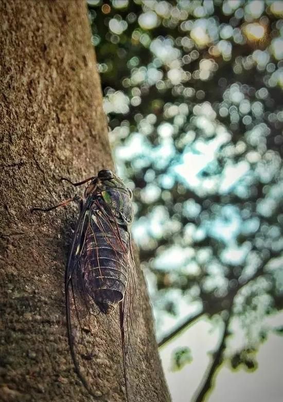 iPhone 80%的拍照功能你用对了么