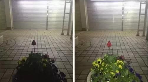 iPhone 80%的拍照功能你用对了么