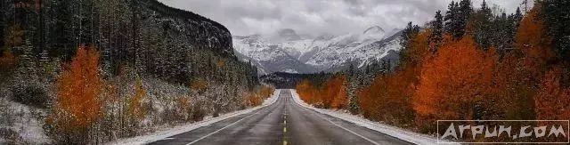 iPhoneX�ͻ�ΪMate10�Ա�����